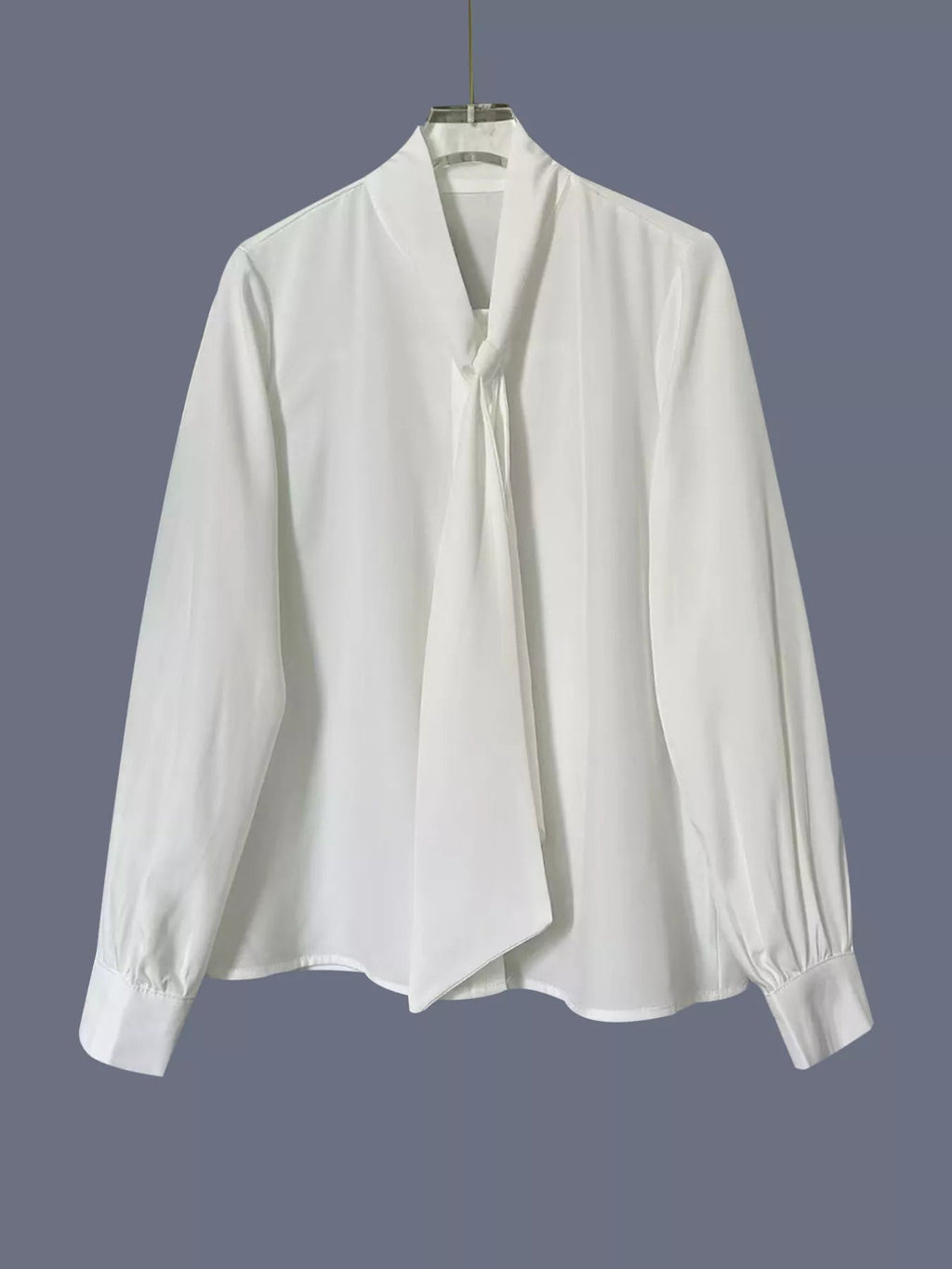 Tie-Neck Long Sleeve Blouse - Liorienne